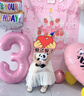 欧妮姿生日场景布置女孩生日气球道具氛围布置场景派对装饰快乐套餐 实拍图