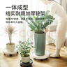 绿盼移动花托盘圆形花盆底座带万向轮轱辘接水32# 实拍图