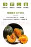 京喜加新鲜贝贝南瓜生鲜新鲜蔬菜减肥减脂早餐沙拉必备 【活动】 400g 左右 实拍图