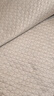 洁丽雅（Grace）A类豆豆凉席冰丝凉席夏天专用软席单席灰色180*200cm【可水洗】 实拍图