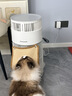 霍尼韦尔（Honeywell）宠物空气净化器价保618吸猫毛除过敏源猫猫搭子 猫毛净化器杀菌消毒除异味KJ360F-C22W 实拍图