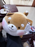 名创优品（MINISO）趣味阿柴弹力超柔趴姿公仔毛绒玩偶儿童玩具抱枕靠枕生日礼物女 实拍图