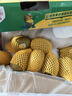佳沛（zespri）新西兰阳光金奇异果40粒全家福 10斤原箱猕猴桃水果礼盒源头直发 实拍图
