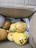 攀枝花凯特芒果台农芒应季热带时令芒果水果整箱送礼 净重4.5-5斤单果400g 实拍图