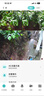 霸天安4g监控无线摄像头无需连wifi网络终身免流量室外监控器家用360度无死角全景农村夜视手机远程户外 实拍图
