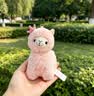 威尔通（WELTSTON）毛绒玩具小羊玩偶挂件钥匙链布娃娃男女孩生日礼物礼品羊驼挂件 实拍图