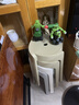 星恺凳子塑料凳子家用可叠放板凳加厚高凳椅子YK081驼色*2灰白4把装 实拍图