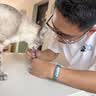 金宇【冰仓当天发】猫咪疫苗金喵乐猫三联疫苗自打幼猫套餐成猫疫苗 成猫套餐【猫三联*1+狂犬 1ml*1瓶 】+驱虫药 实拍图