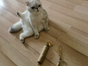 HELLOJOY木天蓼猫咪磨牙棒猫玩具自嗨解闷拉菲草逗猫棒耐咬幼猫养猫神器 实拍图