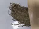 西知堂独脚金50g儿童疳积草黄花草孩儿草煲汤原料可做消积汤非野做汤包 实拍图