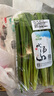 小汤山 韭菜 250g 基地直供新鲜蔬菜GAP认证 实拍图