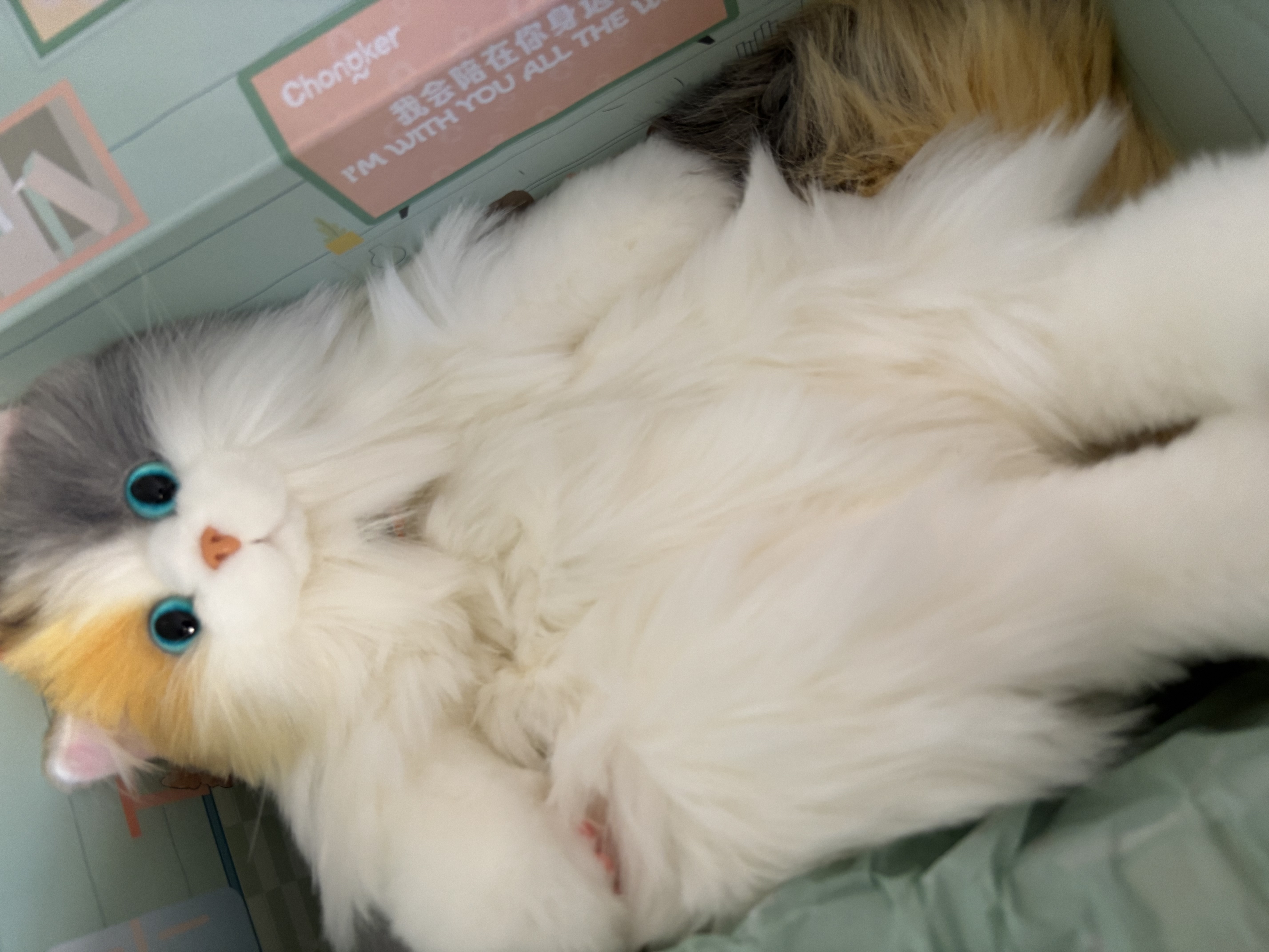 Chongker宠客淡三花猫背包仿真玩偶公仔毛绒玩具安抚送礼女生生日礼物 实拍图