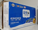 风行 蓝莓风味牛奶饮品 200ml*12盒 牛奶礼盒装 送礼佳品 实拍图