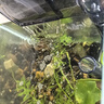 京业（JINGYE）鱼缸过滤器JY-W255款6W壁挂式过滤泵除油膜瀑布过滤器流量可调 实拍图