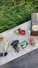 COOKSS立体昆虫发条玩具儿童益智爬行仿真动物模型早教认知生日礼物礼盒 实拍图