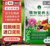 漫生活50L进口营养土通用型 泥炭土养花土种菜土园艺种植土花卉有机土壤 实拍图