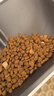 网易严选全价鲜萃烘焙猫粮 蓝猫英短加菲体重控制绝育猫粮成猫幼猫 350g 实拍图