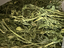 喜帅烘干紫花苜蓿草 幼兔兔粮牧草干草龙猫荷兰猪磨牙饲料净重750g 实拍图