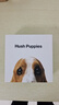 暇步士（Hush Puppies）皮带男针扣男士腰带优质荔枝纹牛皮休闲百搭裤带生日礼物送男友 实拍图
