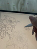 Apple/苹果 Pencil替换笔尖-4个装 苹果笔头手写笔替换笔尖备用笔头笔尖 Apple Pencil通用 实拍图