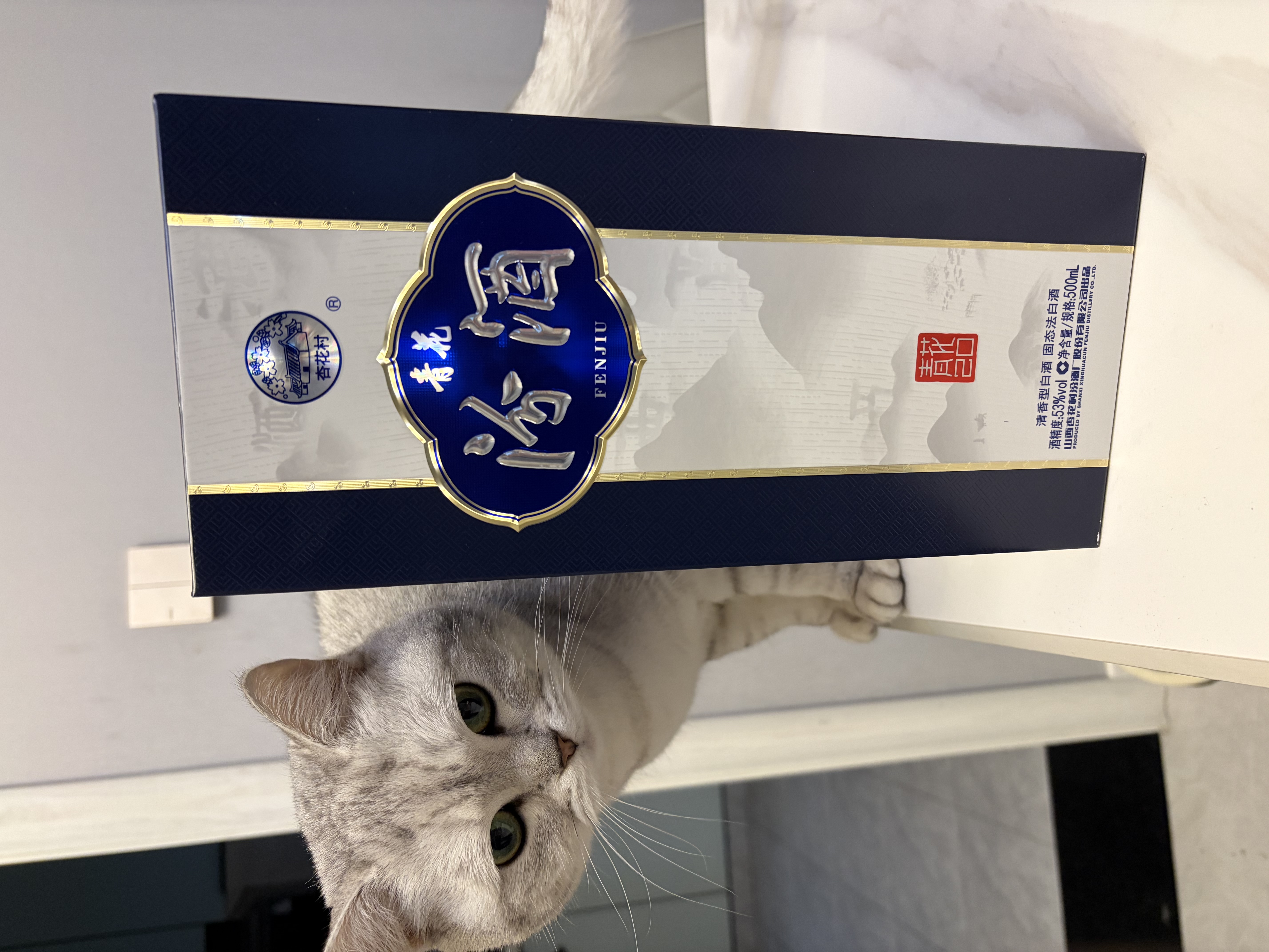 国芳粽子肉粽新鲜现做 板栗肉粽180gx8只 湖州非遗粽子端午源头直发 实拍图