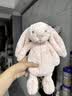 Jellycat害羞胭脂粉色邦尼兔柔软舒适动物毛绒玩偶儿童送礼生日礼物 害羞胭脂粉色邦尼兔 Medium 实拍图