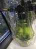 喷壶家用浇花洒水壶园艺浇水壶气压式喷雾器酒精消毒喷瓶喷水壶 草绿色-1.5L 实拍图