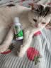 修灭盾喷剂宠物驱虫喷雾猫咪狗狗驱虫去跳蚤虱子蜱虫专用户外驱蚊喷雾 实拍图