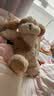 babycare静态玩偶西高地儿童毛绒玩具公仔生日圣诞礼物36cm送女友-马尔泰 实拍图