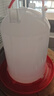 鸡用饲料筒饮水器养鸡自动饮水器小鸡鸭鹅喂食神器喝水壶食槽水槽 10斤水壶+10斤料筒【特厚组合】 实拍图