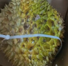 京鲜生 进口金枕头鲜榴莲 净重5-6斤 1个装 生鲜 新鲜水果 新鲜榴莲 实拍图