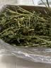 25年兔草苜蓿草干草兔子粮食龙猫荷兰猪豚鼠饲料高纤维兔粮 紫花苜蓿草1KG箱装(毛重) 实拍图