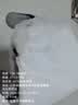 雅鹿·自由自在 学生宿舍蚊帐 双开门 1.2米床 白色【加密网眼 上下铺】 实拍图