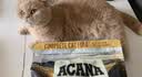 愛肯拿（ACANA）猫粮 牧场盛宴成猫幼猫粮 高蛋白无谷进口鸡肉粮5.4kg 效期27/2 实拍图