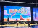 迪士尼（Disney）女童套装儿童2026夏新款格纹短袖裙子两件套女孩半身裙套装140 实拍图