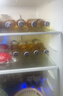 科罗娜（CORONA）特级啤酒330ml*24瓶啤酒整箱装经典拉格京东自营618热卖 实拍图