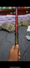 达亿瓦（DAIWA） 新款 一击樱 综合休闲手杆台钓竿轻碳素进口钓鱼竿钓杆 垂钓装备 F-4.8米 实拍图