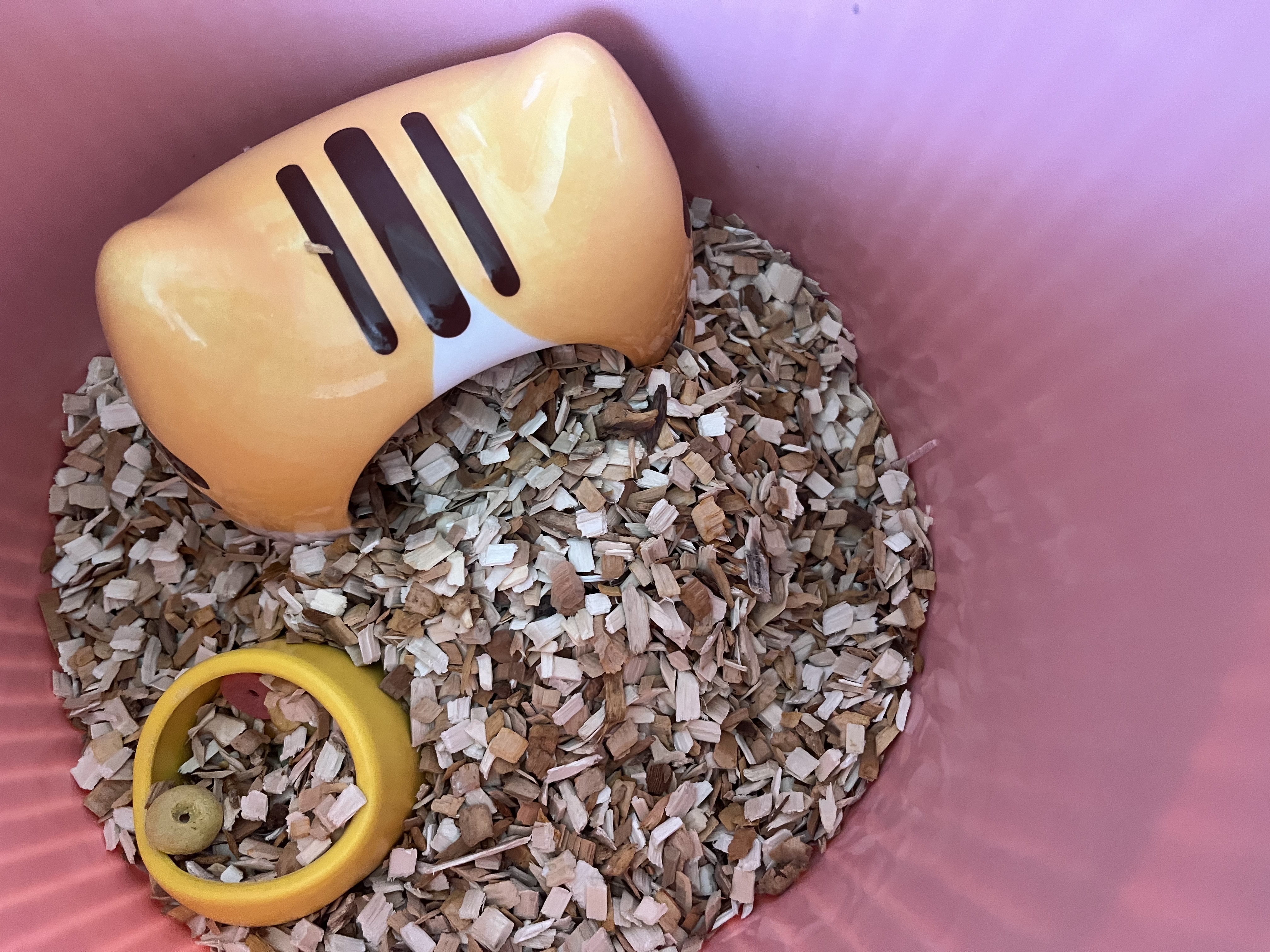 备能（BEINENG）仓鼠除臭喷雾消毒杀菌兔子蜜袋鼯宠物笼子厕所生物酶去异味300ml 实拍图