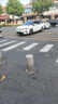 春福乐沙地红薯【当天现挖】贵阳板栗红薯西瓜红现挖现发新鲜地瓜整箱 5斤严选果【软糯香甜】净重4.5斤 实拍图