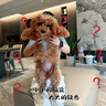XCHO狗狗止吠器宠物震动大中小型犬电击电子项圈防吠叫防狗叫训狗神器 实拍图