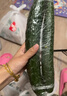 长黄瓜约600g 实拍图