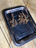 ALittleFlower【全网热销40W+】适用苹果14手机壳iphone14保护套超薄防摔软壳透明镜头全包男女款简约  实拍图