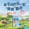 雀巢（Nestle）丝滑拿铁低糖口味 268ml*15瓶-新老包装随机发货 实拍图