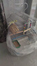 獒少保鸟笼鹦鹉专用鸟笼大号家用八哥鹦鹉笼子金属电镀加粗豪华鸟别墅 电镀银豪华套餐 大号56*32*31cm 实拍图
