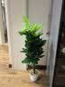 花沃里仿真发财树绿植盆栽仿真花植物假花金钱树客厅落地假盆景室内装饰 实拍图