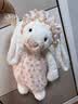 Jellycat害羞乳白色邦尼兔动物毛绒玩偶安抚玩偶娃娃送礼生日礼物 害羞乳白色邦尼兔 Huge 实拍图