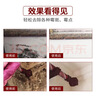 巨奇（JUQI）墙面除霉剂500ml*3瓶墙面布衣柜去霉点斑霉菌清除剂木材除霉 实拍图