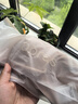 ubras无尺码云感托吊带背心文胸衣女无钢圈文胸 实拍图