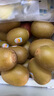 佳沛（zespri）新西兰金果巨大果22粒原箱单果146-175g 端午礼物水果礼盒 猕猴桃 实拍图