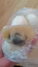 湾仔码头素水饺裙带菜杏鲍菇水饺720g42只*2饺子早餐 实拍图